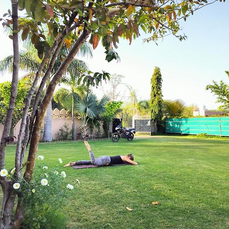 بوشكار Pari Resort With Nature View المظهر الخارجي الصورة